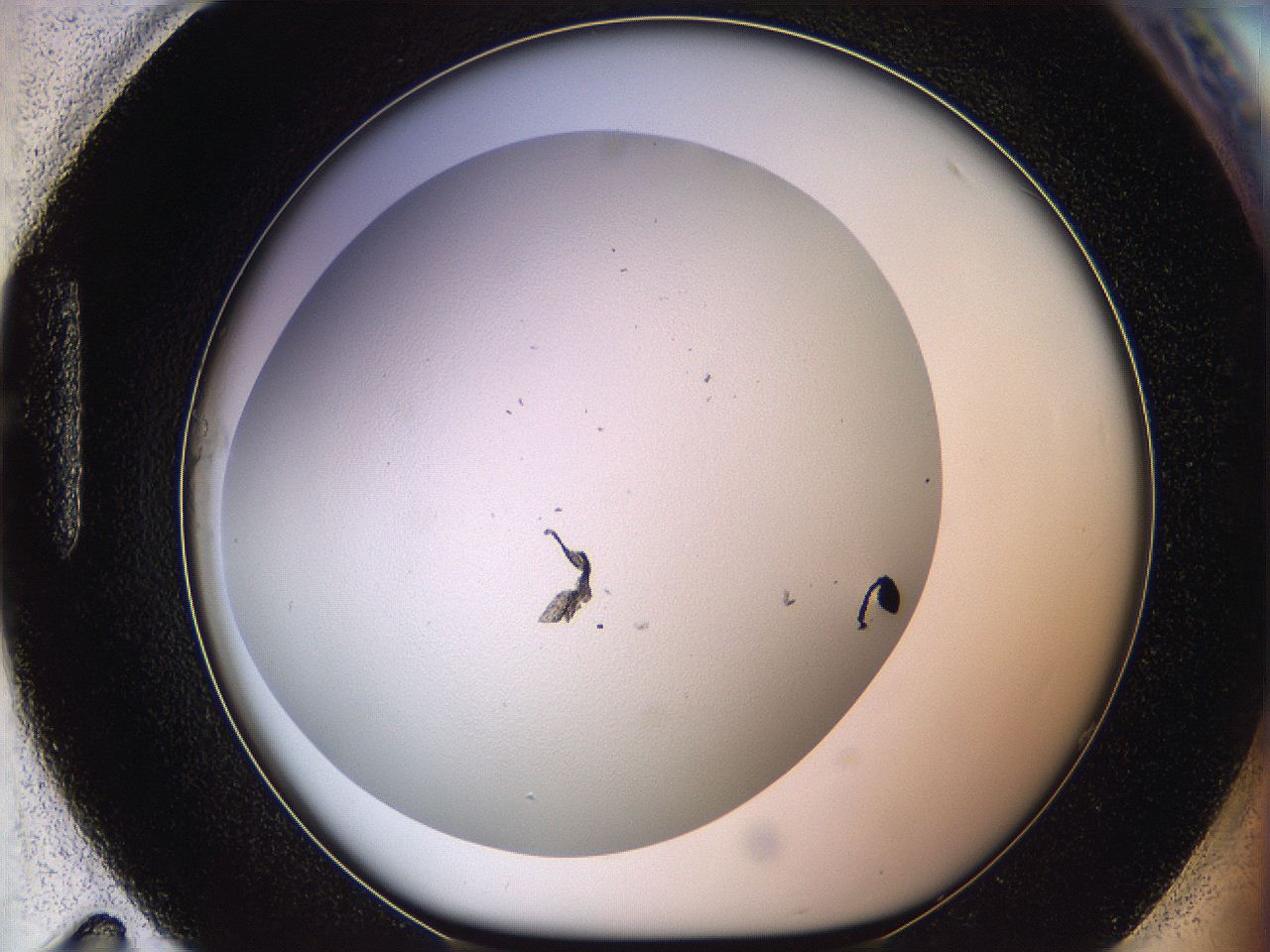 05wp_H11_ImagerDefaults_0.jpg