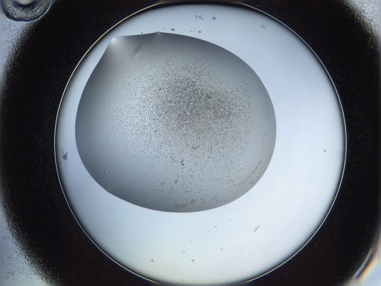 05wq_B10_ImagerDefaults_6.jpg