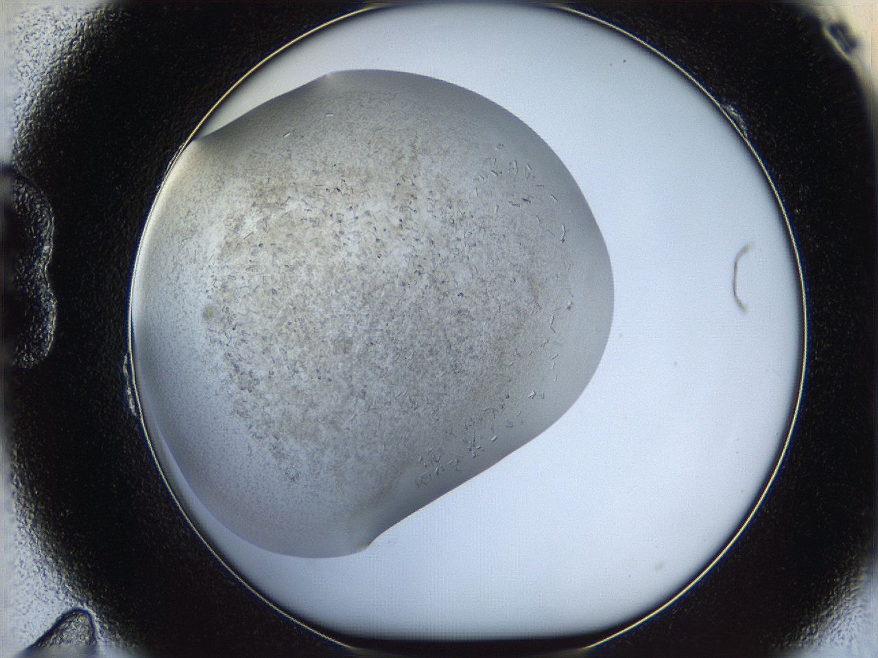 05wq_B11_ImagerDefaults_7.jpg