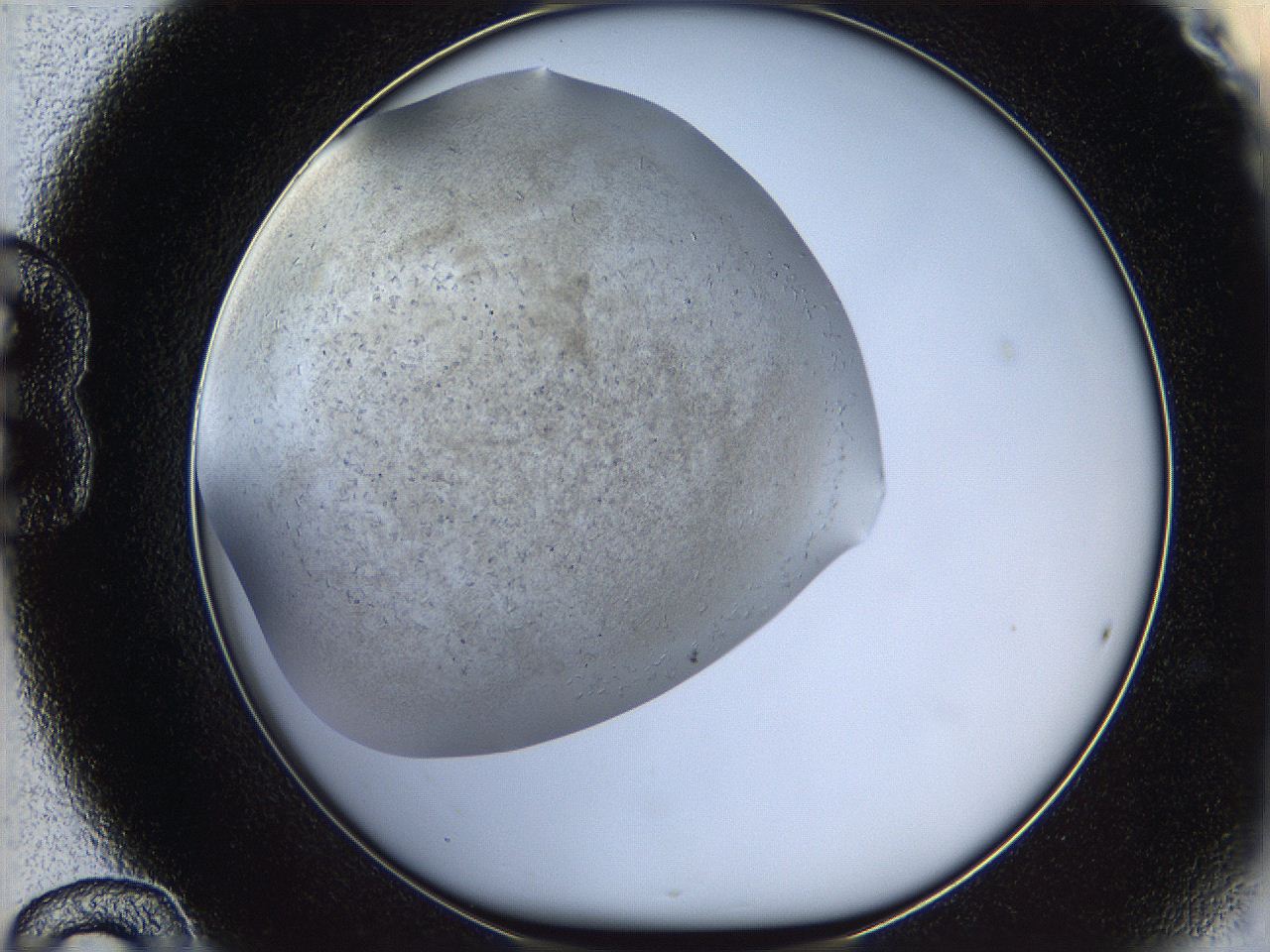 05wq_B12_ImagerDefaults_7.jpg