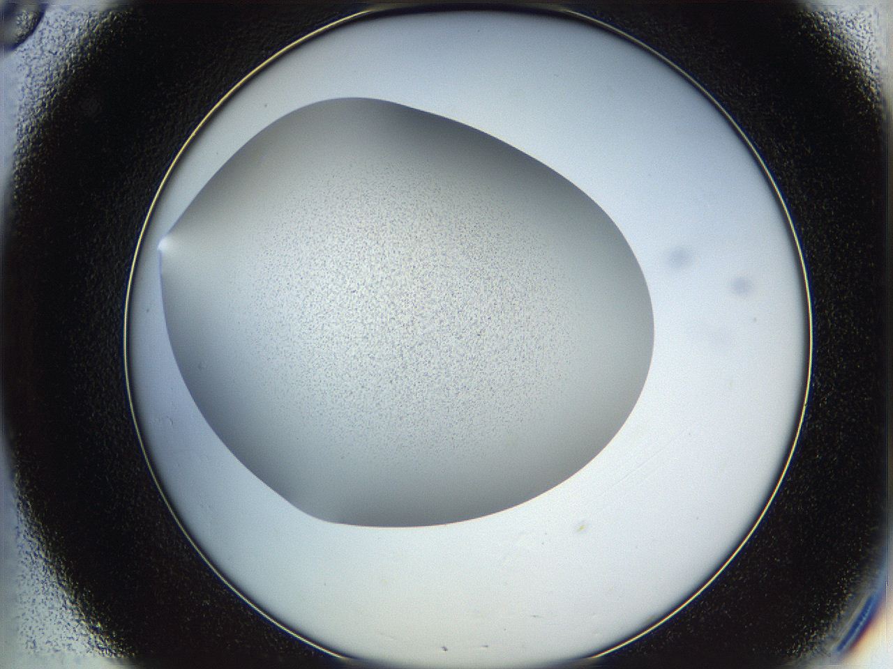 05wq_C8_ImagerDefaults_6.jpg