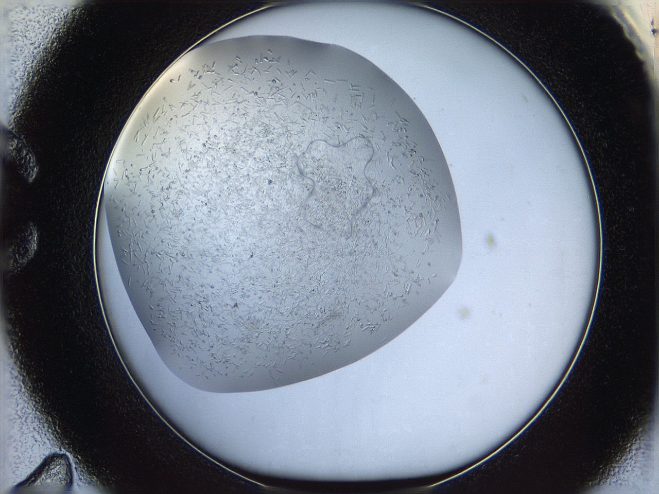 05wq_C11_ImagerDefaults_9.jpg