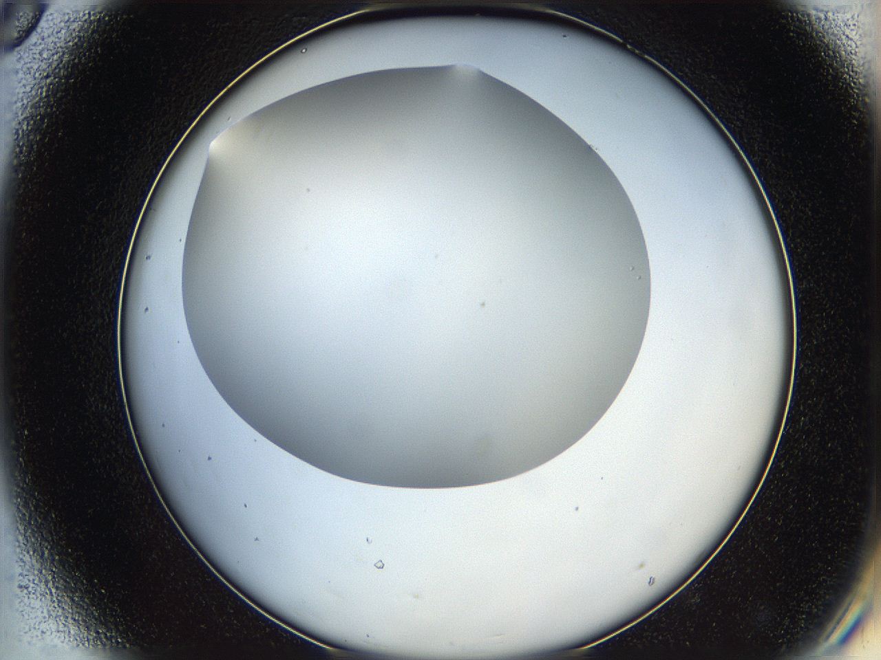 05wq_D8_ImagerDefaults_0.jpg