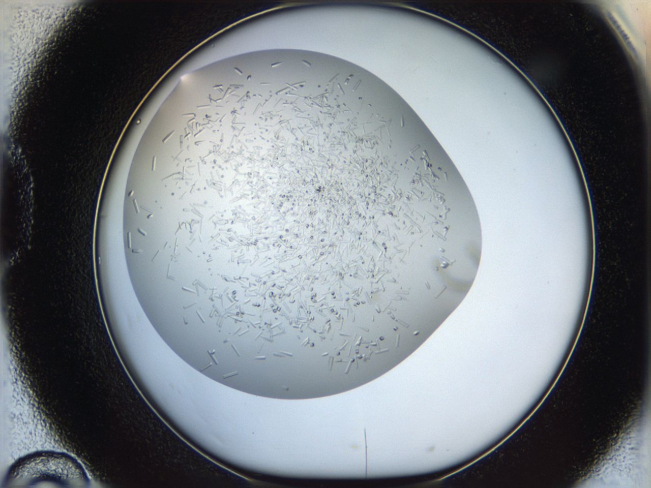 05wq_D10_ImagerDefaults_9.jpg