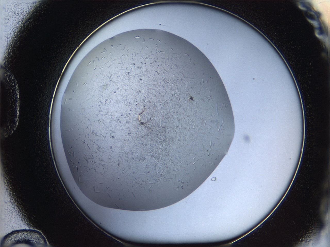05wq_D12_ImagerDefaults_9.jpg