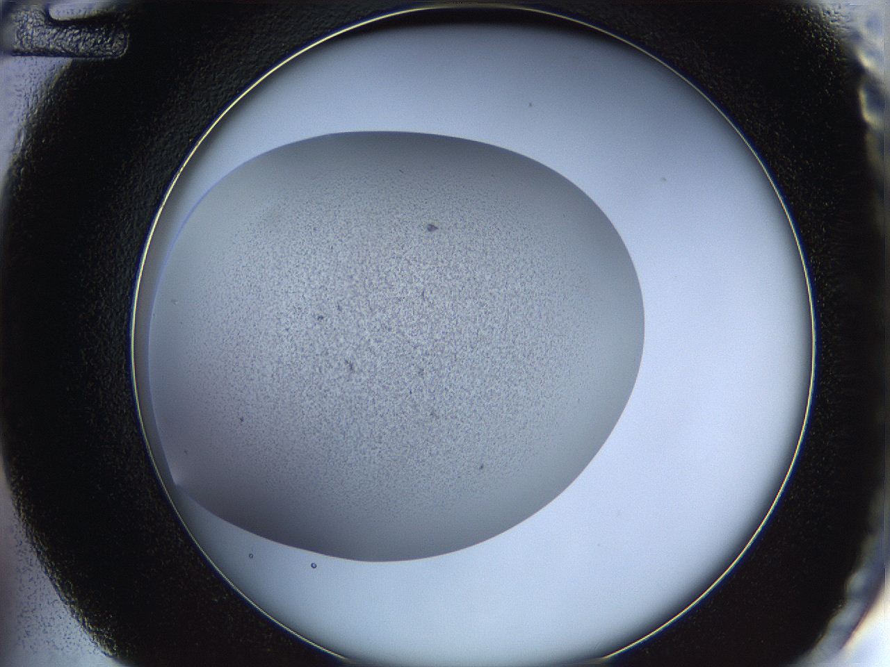 05wq_D12_ImagerDefaults_6.jpg