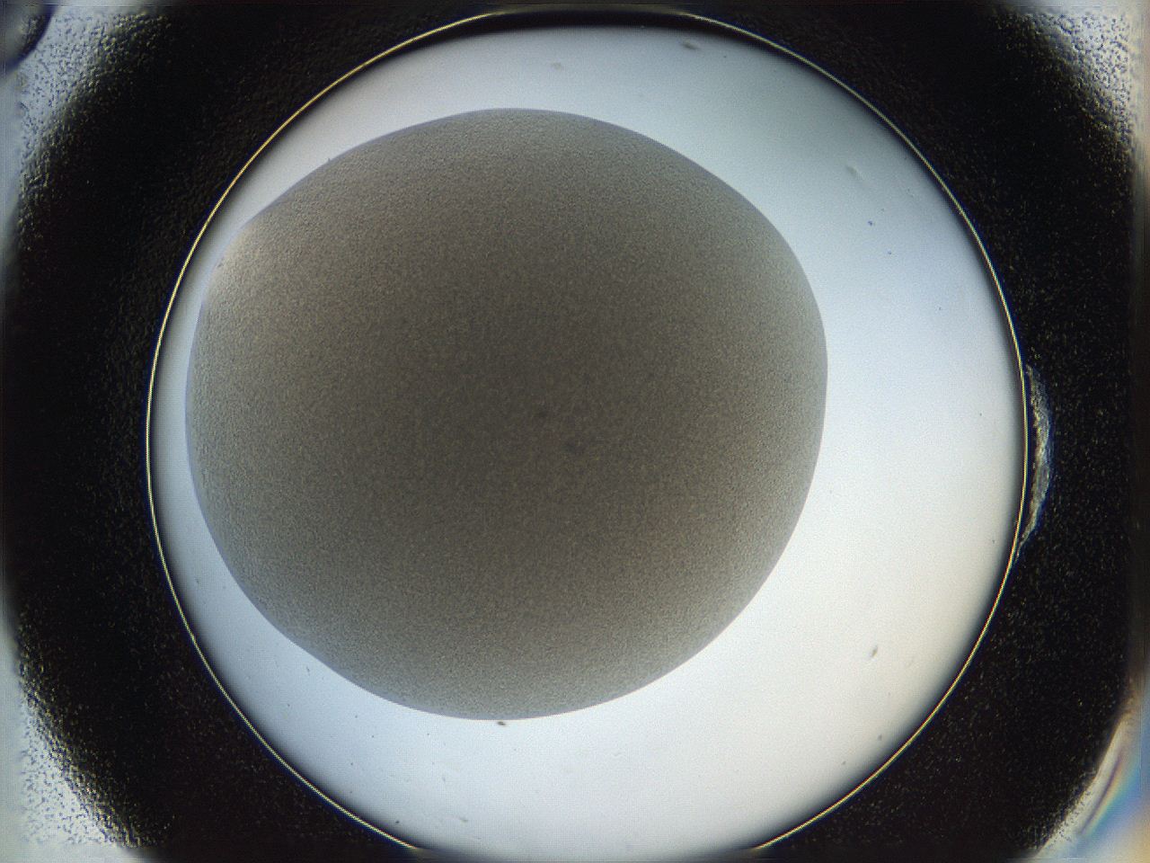 05wq_E6_ImagerDefaults_0.jpg