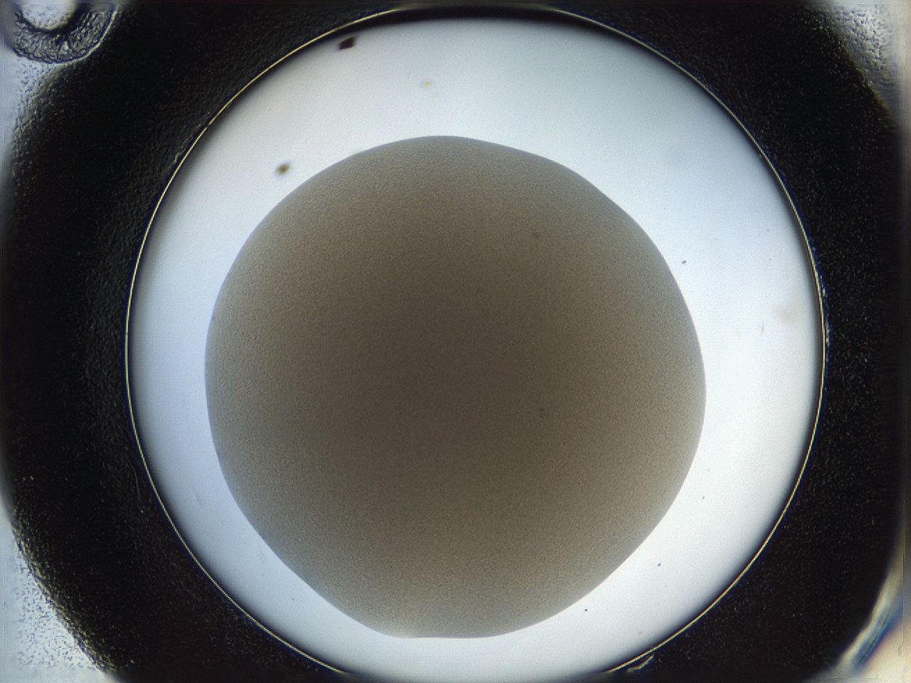 05wq_E10_ImagerDefaults_0.jpg