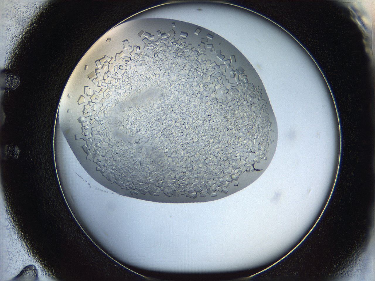 05wq_E11_ImagerDefaults_9.jpg