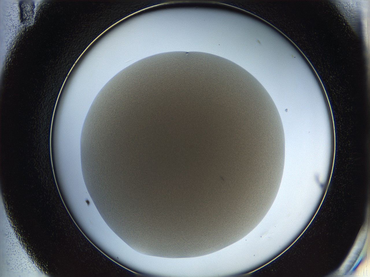 05wq_E11_ImagerDefaults_0.jpg