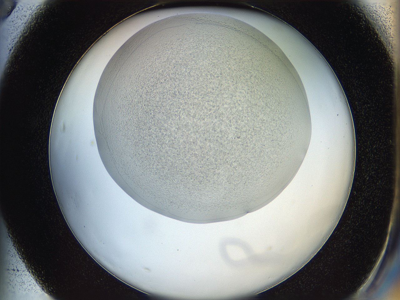 05wq_F3_ImagerDefaults_0.jpg