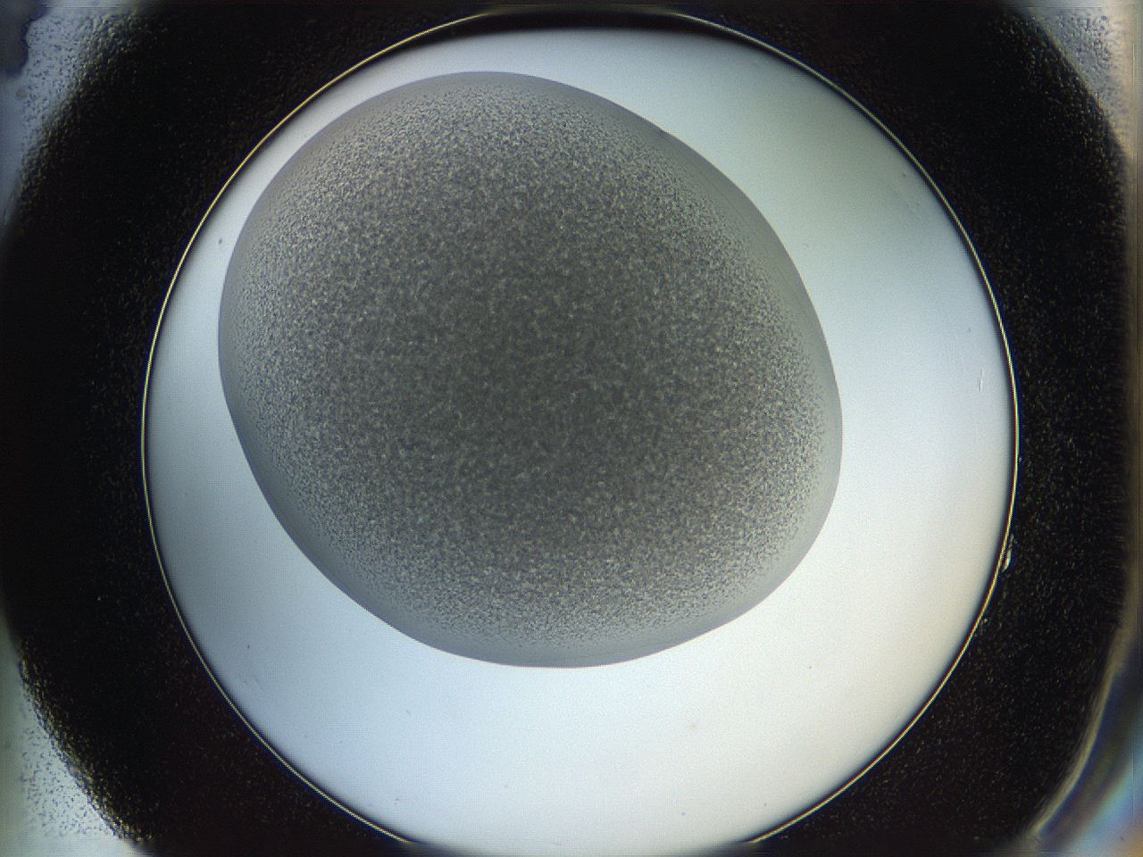 05wq_F4_ImagerDefaults_6.jpg