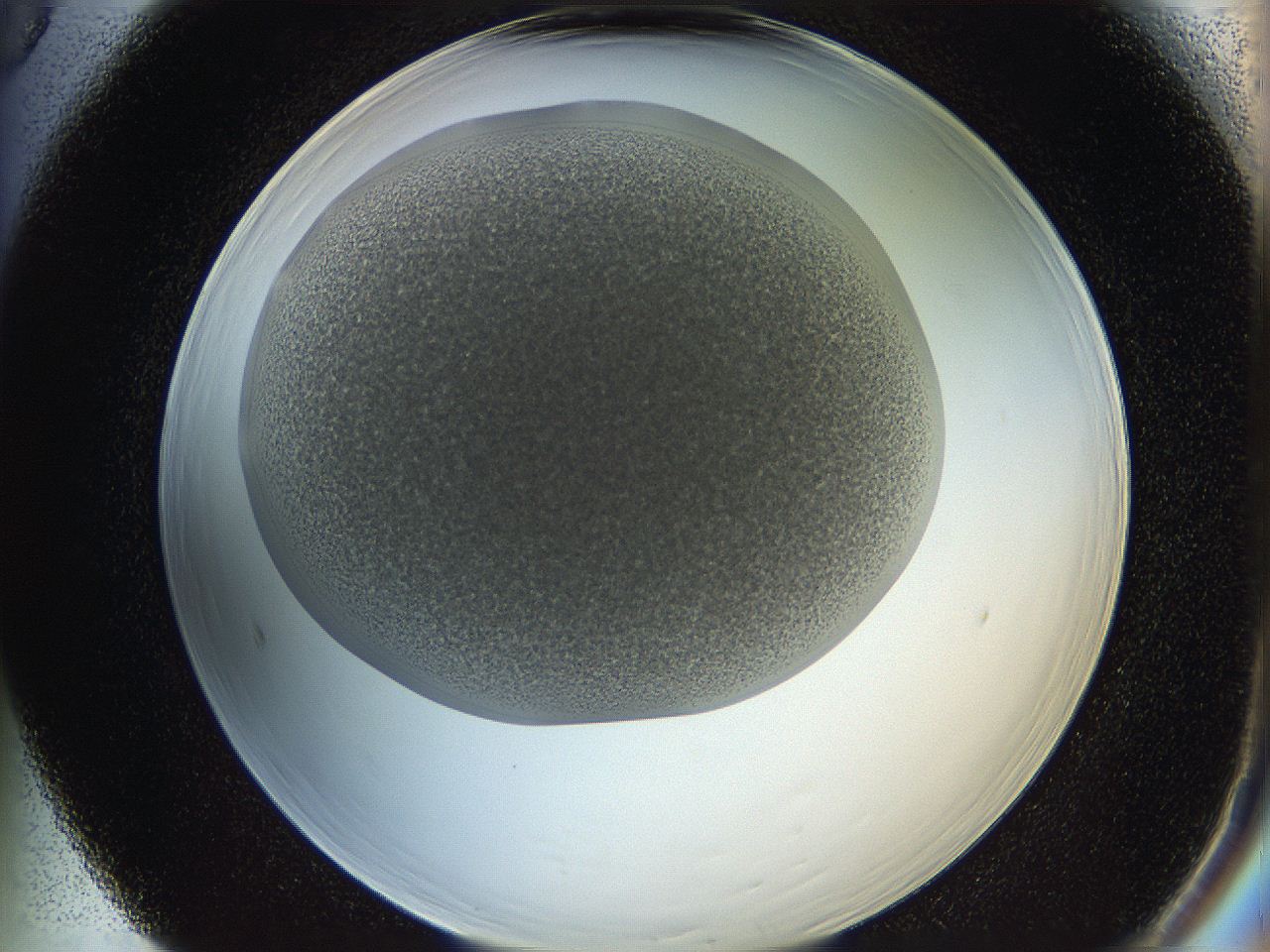 05wq_F5_ImagerDefaults_6.jpg