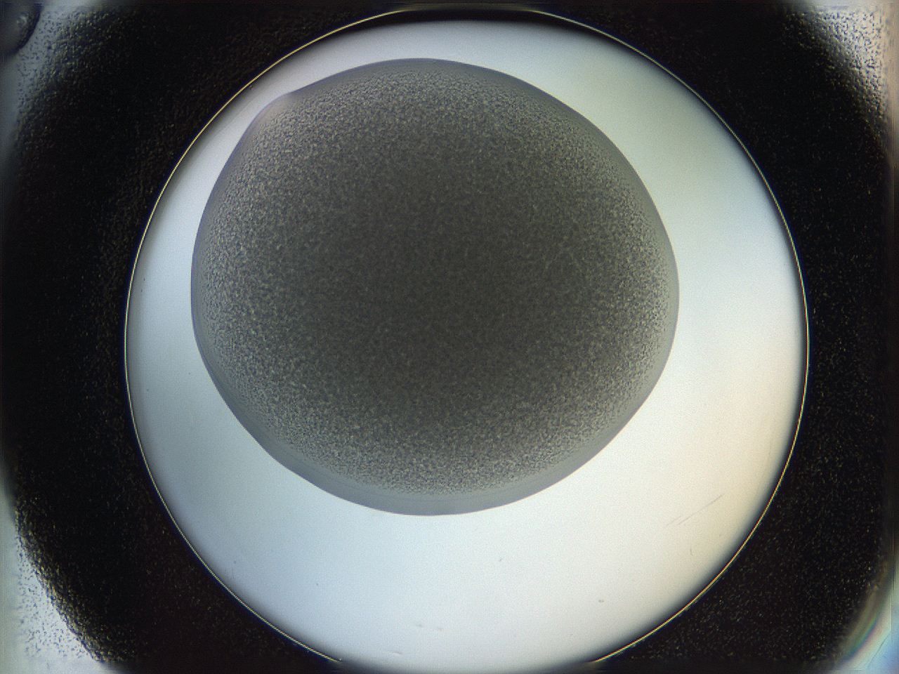 05wq_F6_ImagerDefaults_7.jpg