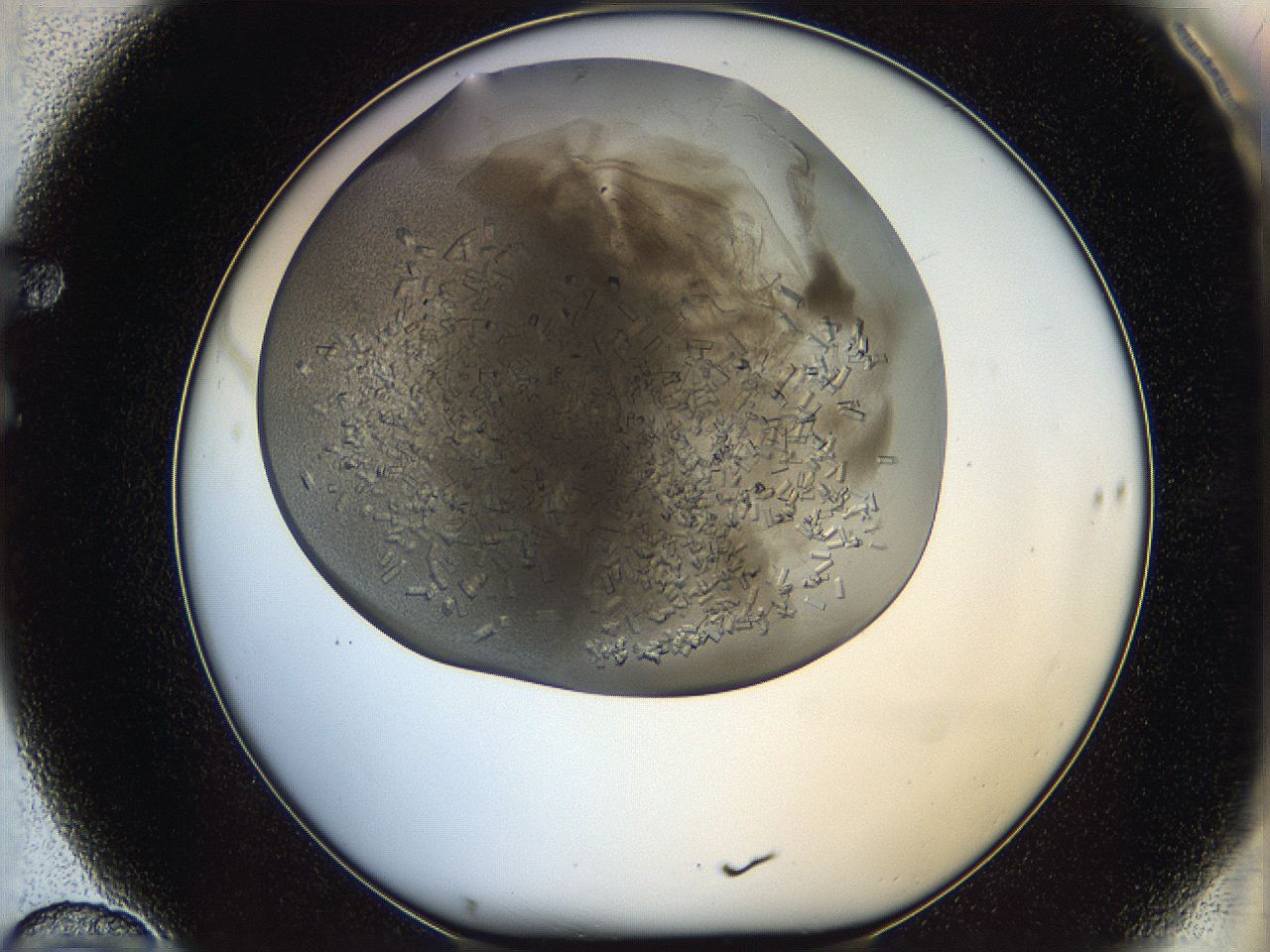 05wq_F10_ImagerDefaults_9.jpg