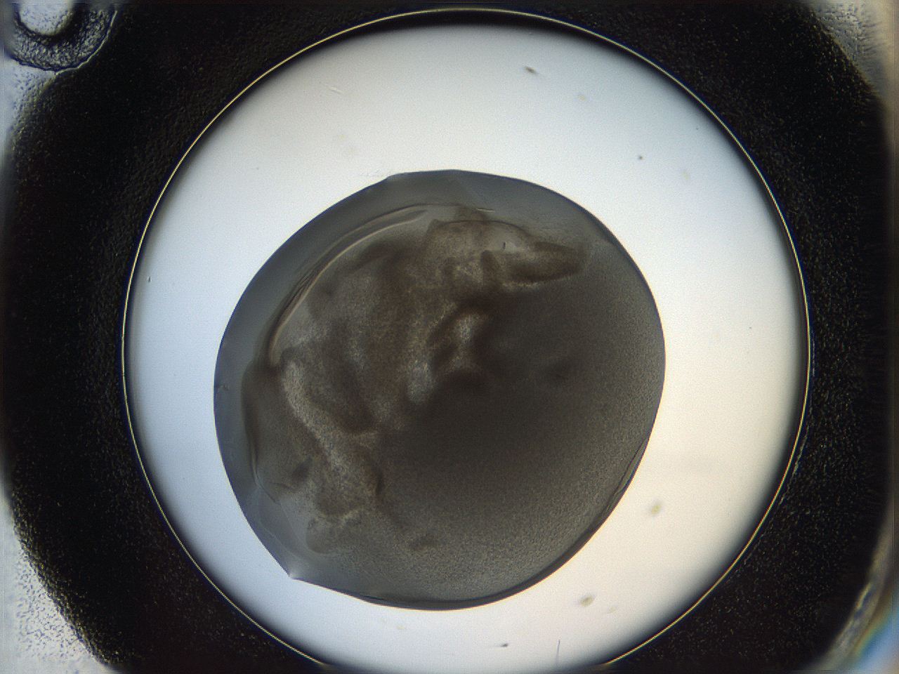 05wq_F10_ImagerDefaults_6.jpg