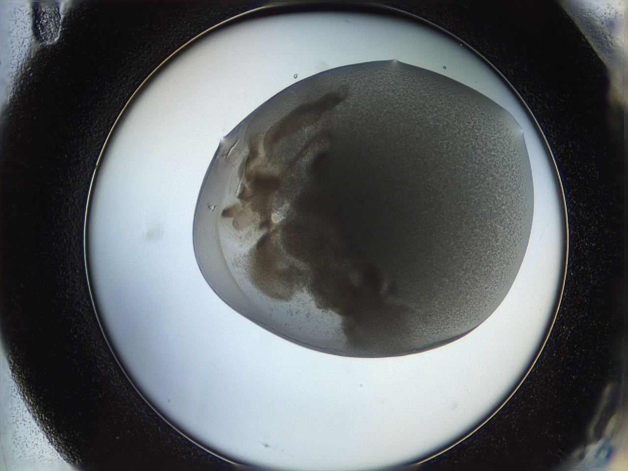 05wq_F11_ImagerDefaults_6.jpg