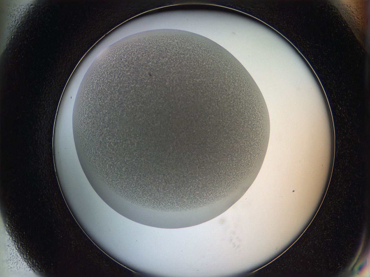 05wq_G7_ImagerDefaults_6.jpg