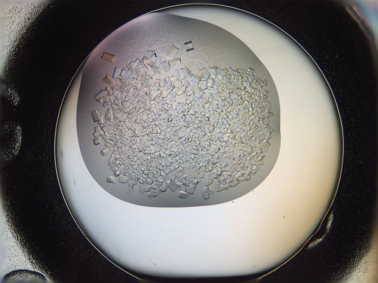 05wq_G10_ImagerDefaults_9.jpg
