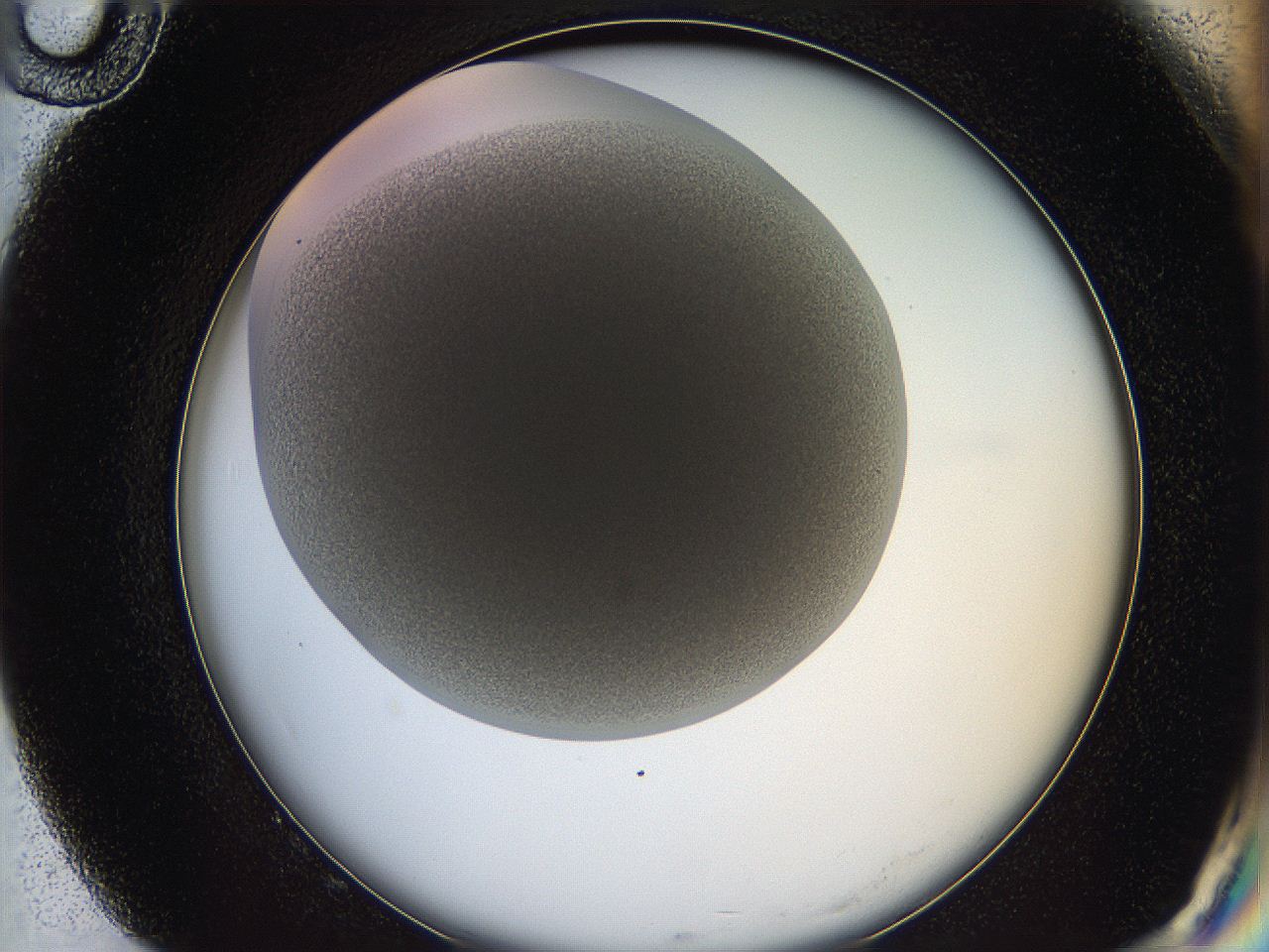 05wq_G10_ImagerDefaults_6.jpg
