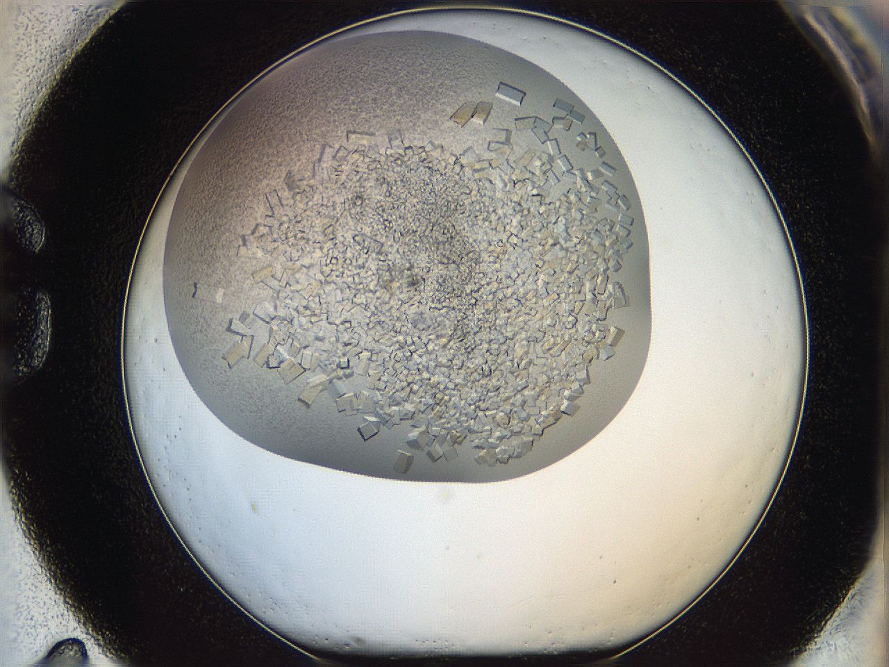 05wq_G11_ImagerDefaults_9.jpg