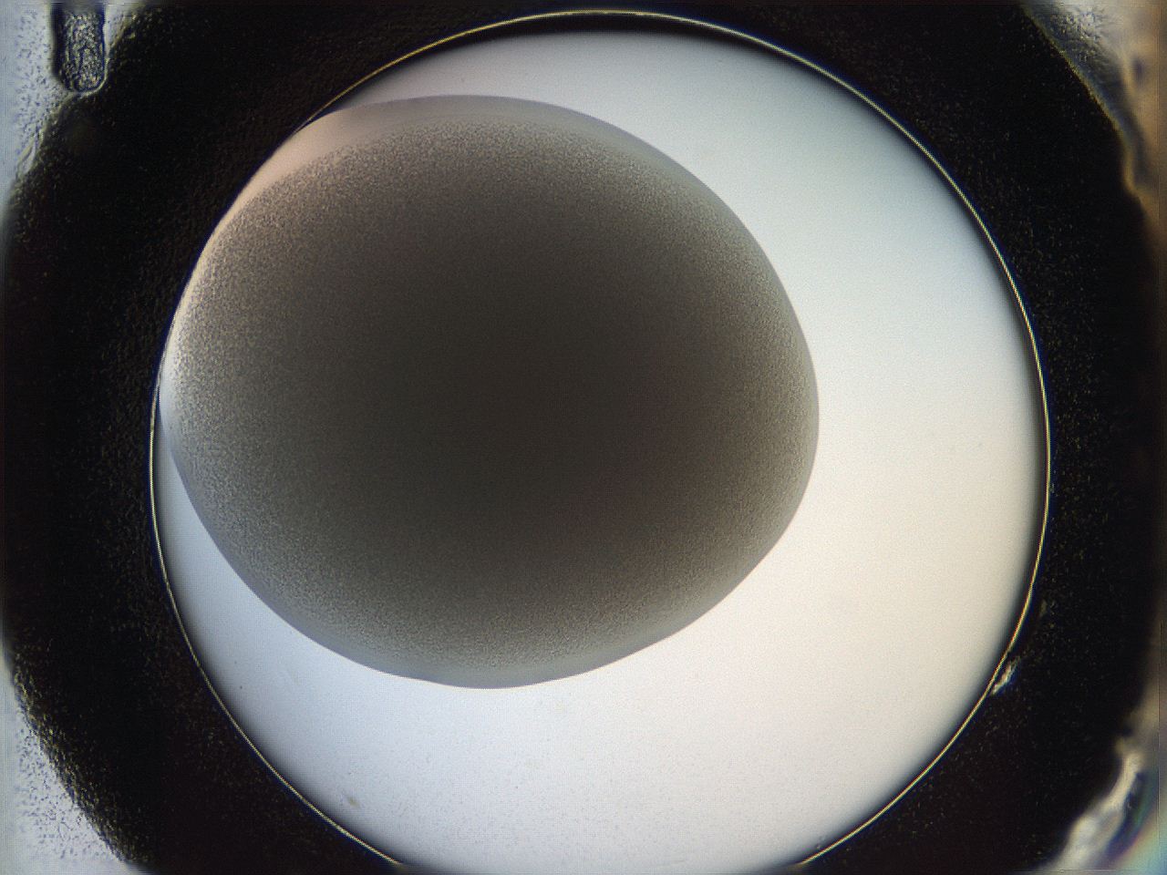 05wq_G11_ImagerDefaults_6.jpg