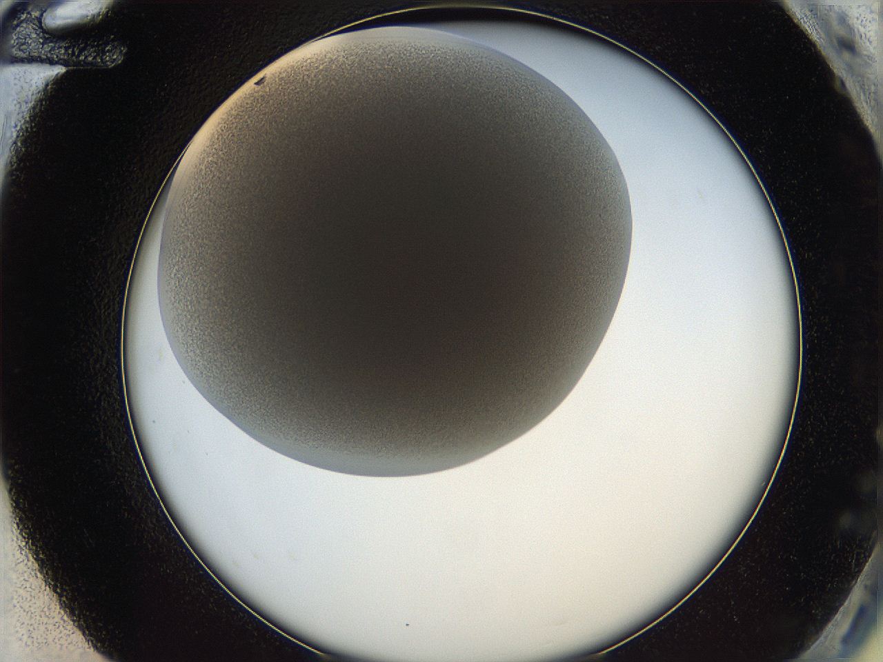 05wq_G12_ImagerDefaults_6.jpg