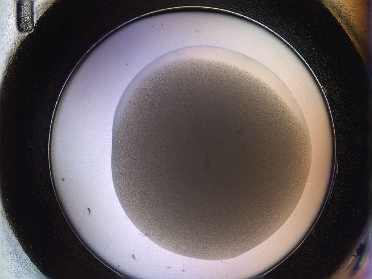 05wq_H11_ImagerDefaults_6.jpg