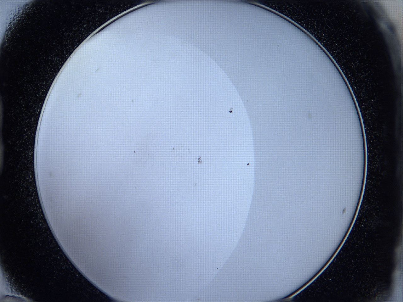 05wr_B12_ImagerDefaults_0.jpg