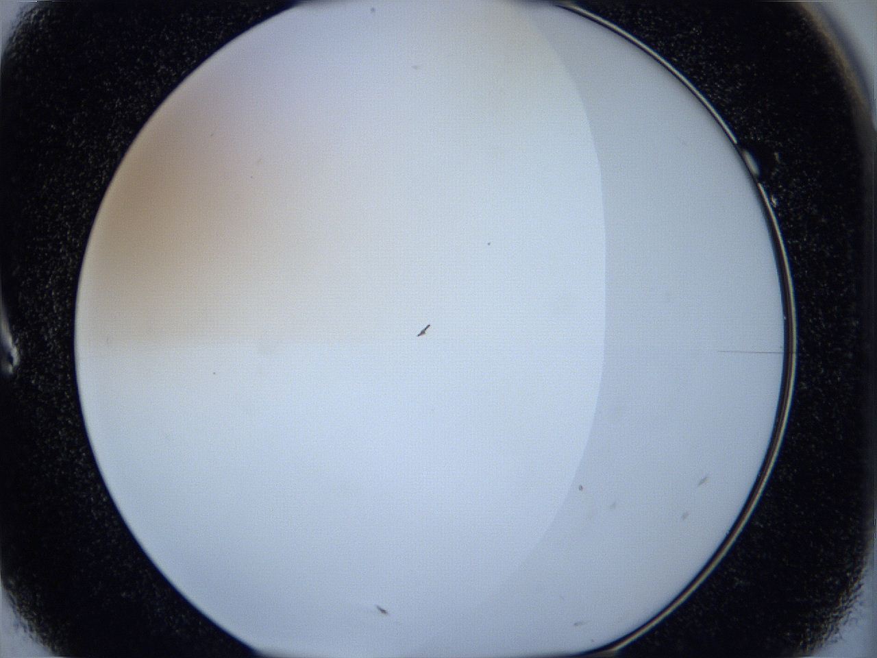 05ws_A7_ImagerDefaults_0.jpg