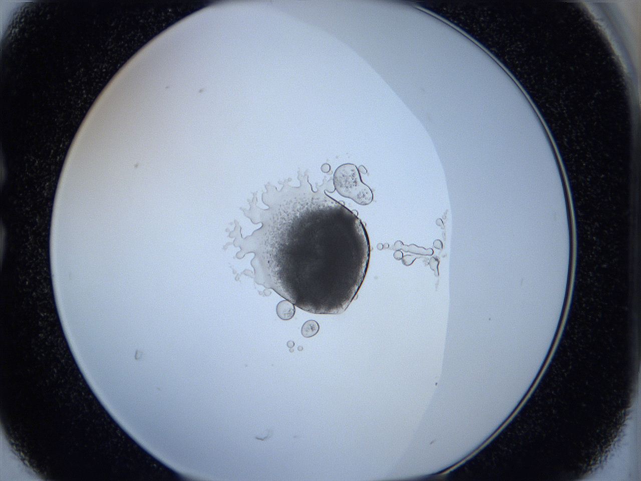 05ws_C6_ImagerDefaults_5.jpg