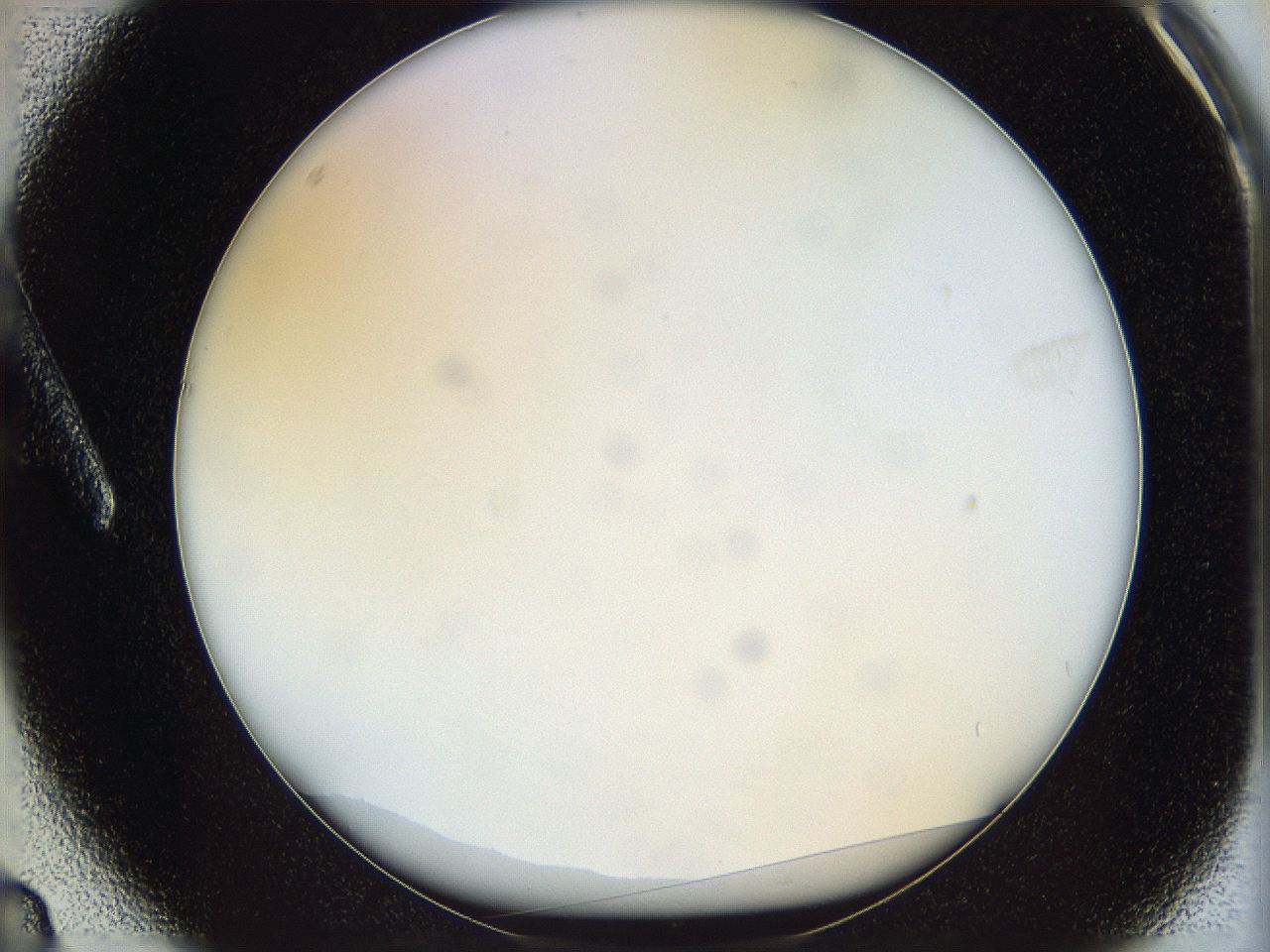 05wt_A3_ImagerDefaults_0.jpg