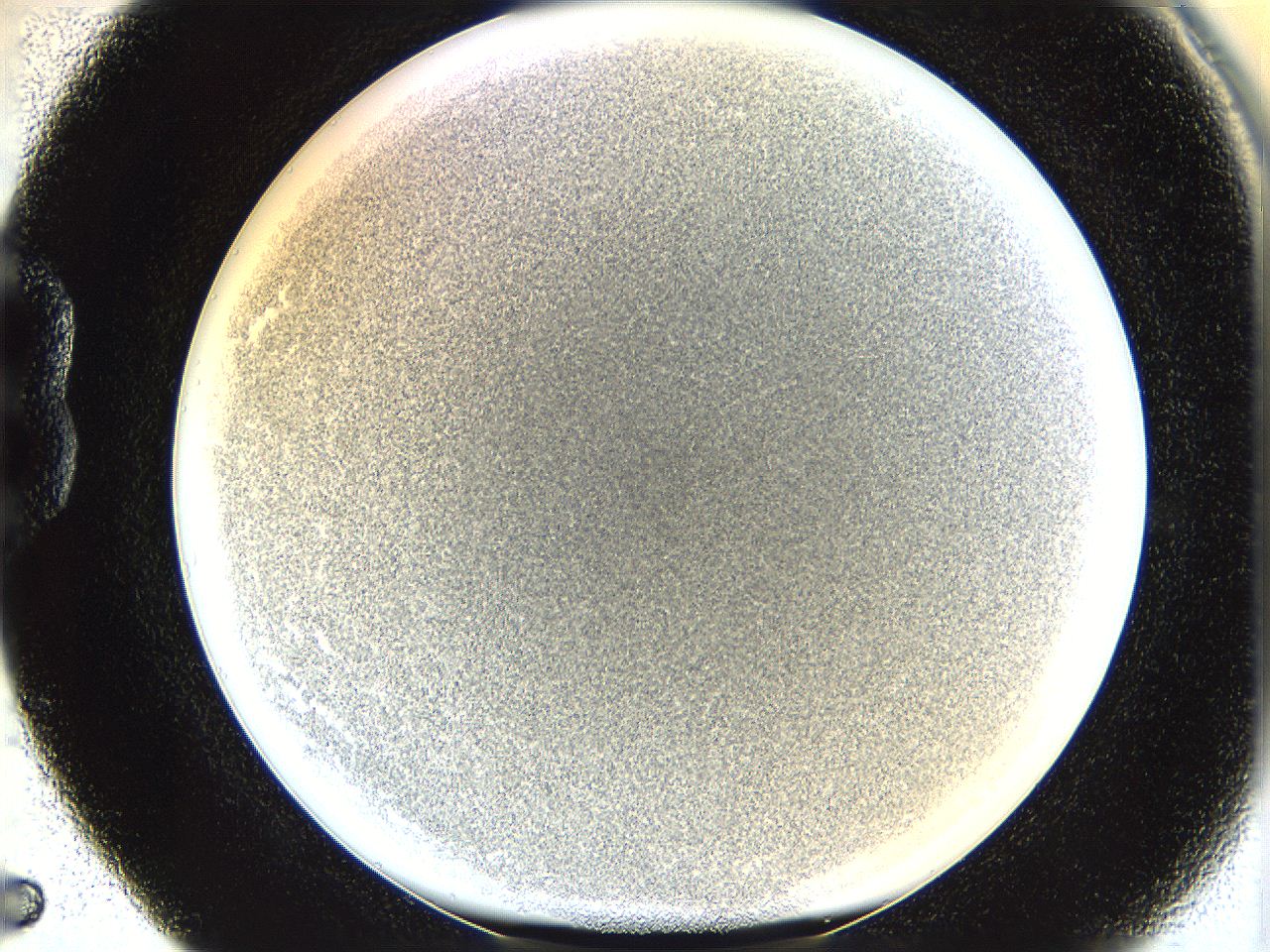 05wt_B5_ImagerDefaults_6.jpg