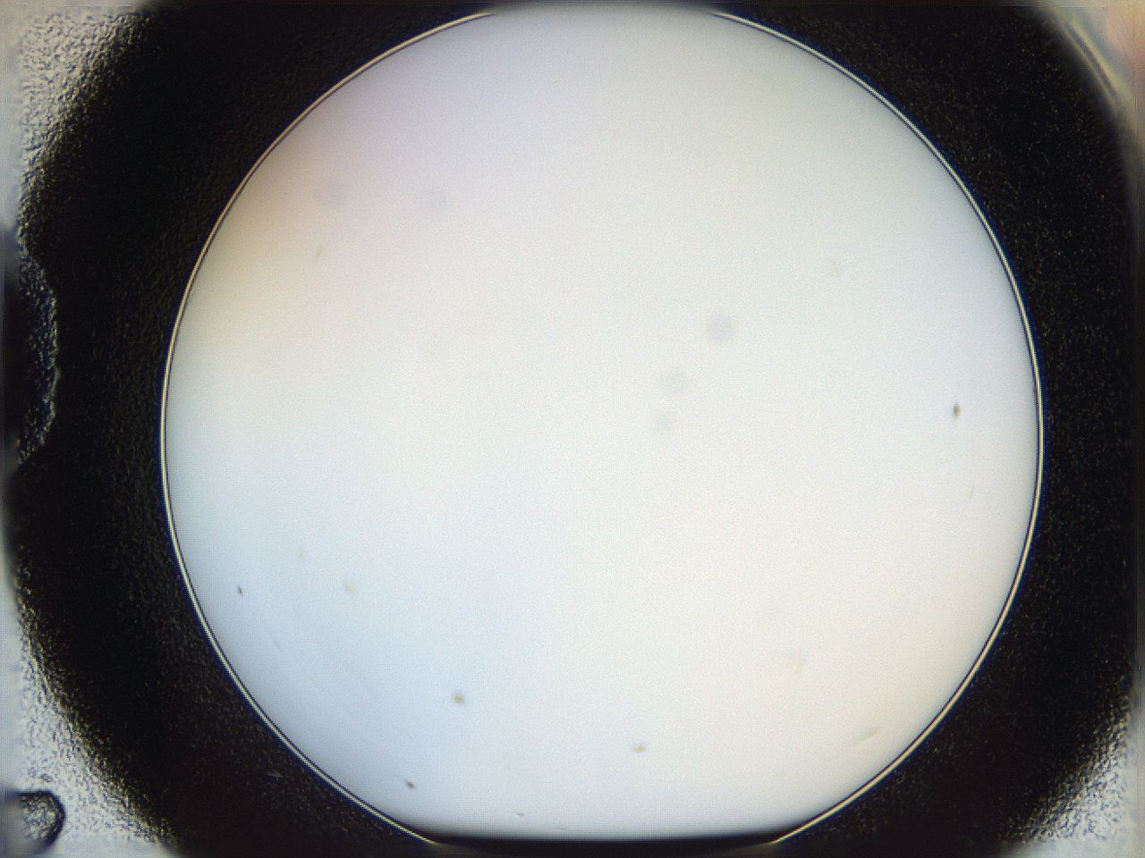 05wt_D7_ImagerDefaults_0.jpg