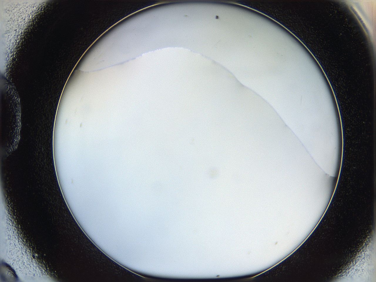 05wt_D9_ImagerDefaults_0.jpg