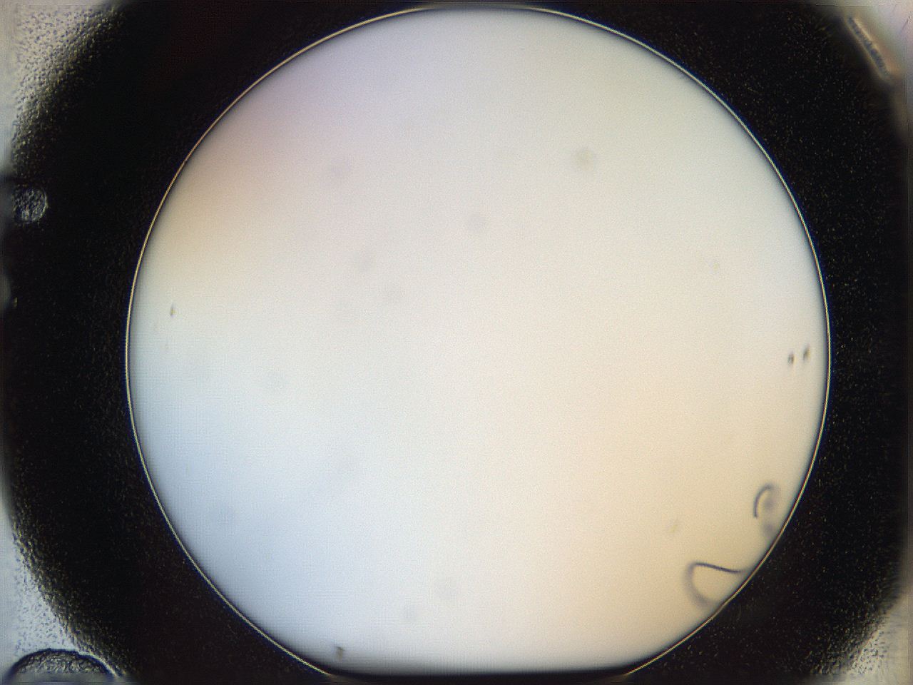 05wt_F10_ImagerDefaults_0.jpg