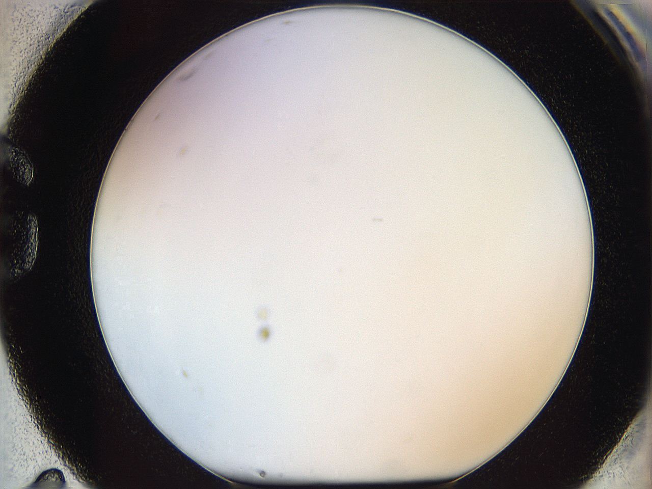 05wt_G11_ImagerDefaults_0.jpg