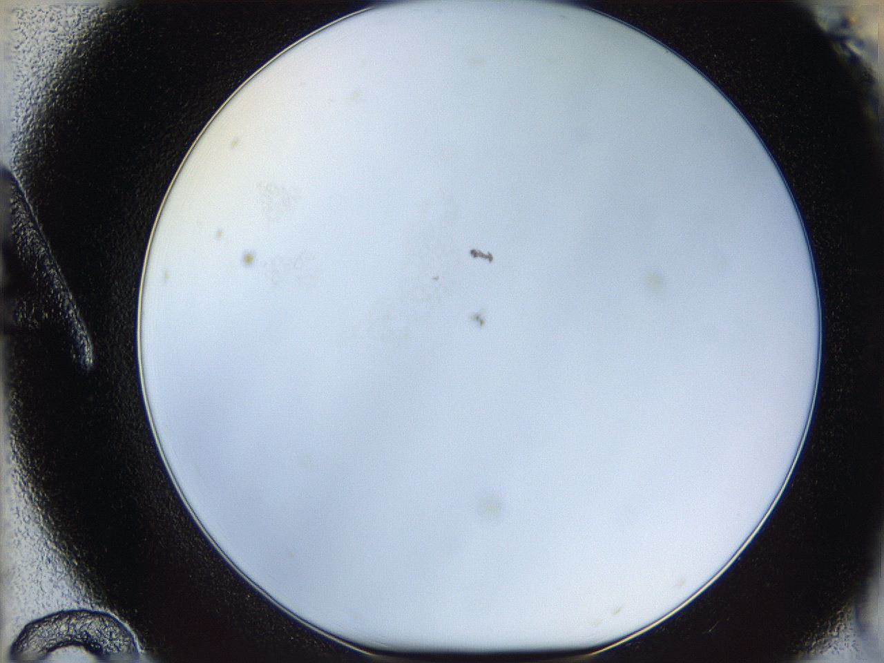 05wu_A12_ImagerDefaults_0.jpg