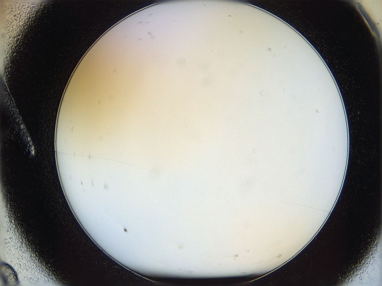 05wu_A8_ImagerDefaults_0.jpg