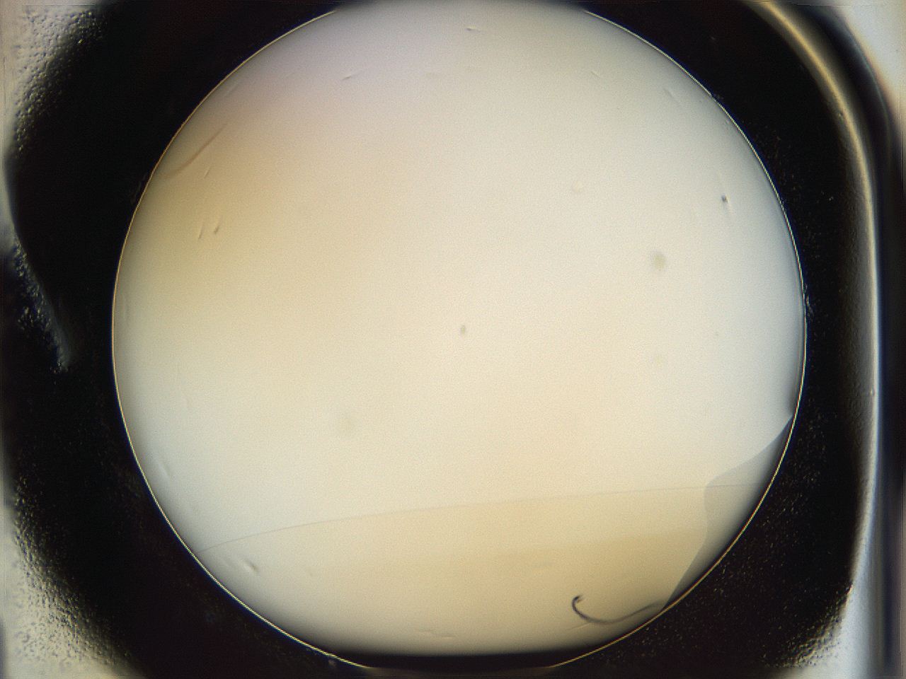 05wu_A1_ImagerDefaults_0.jpg