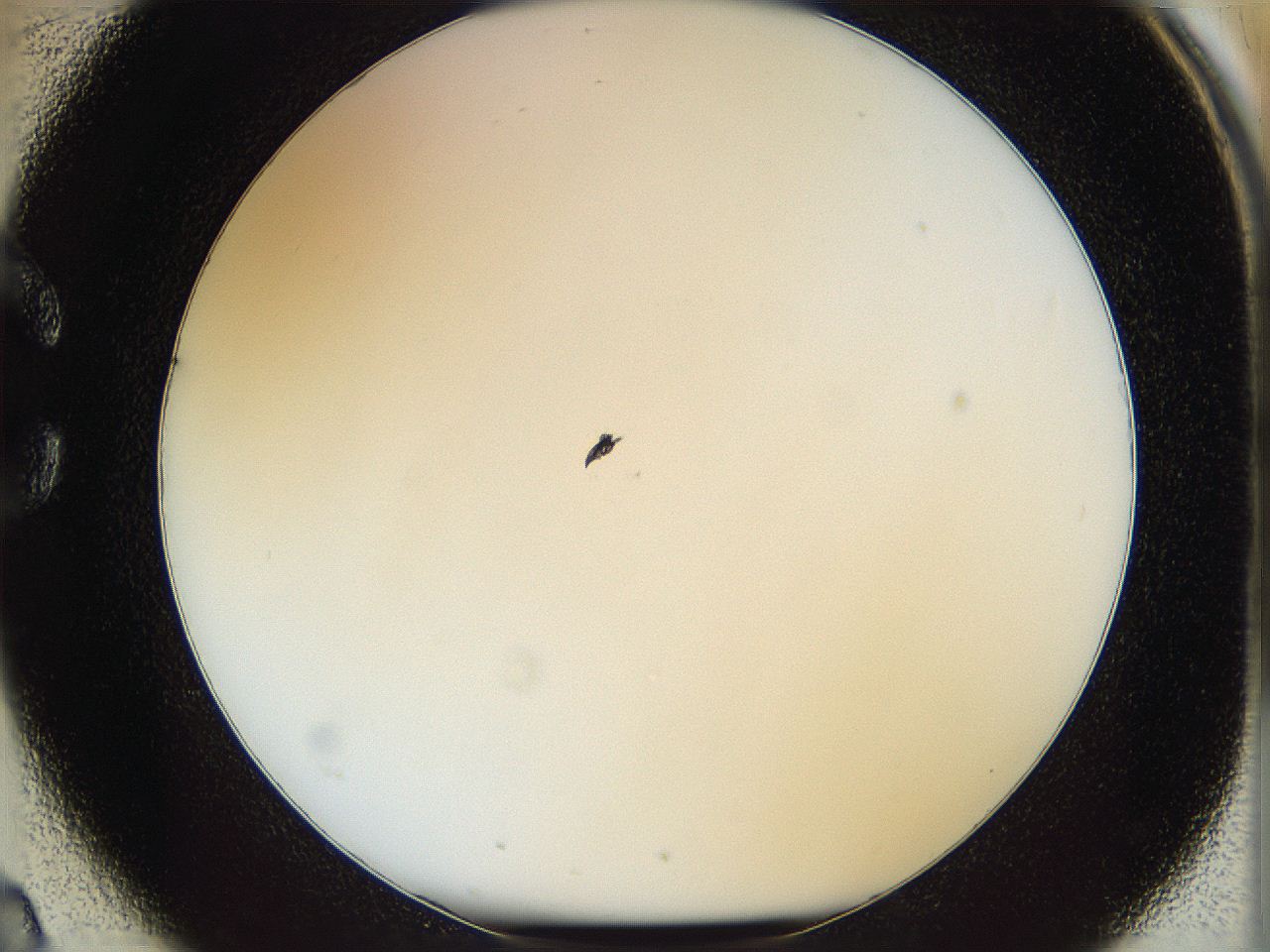 05wu_C2_ImagerDefaults_1.jpg