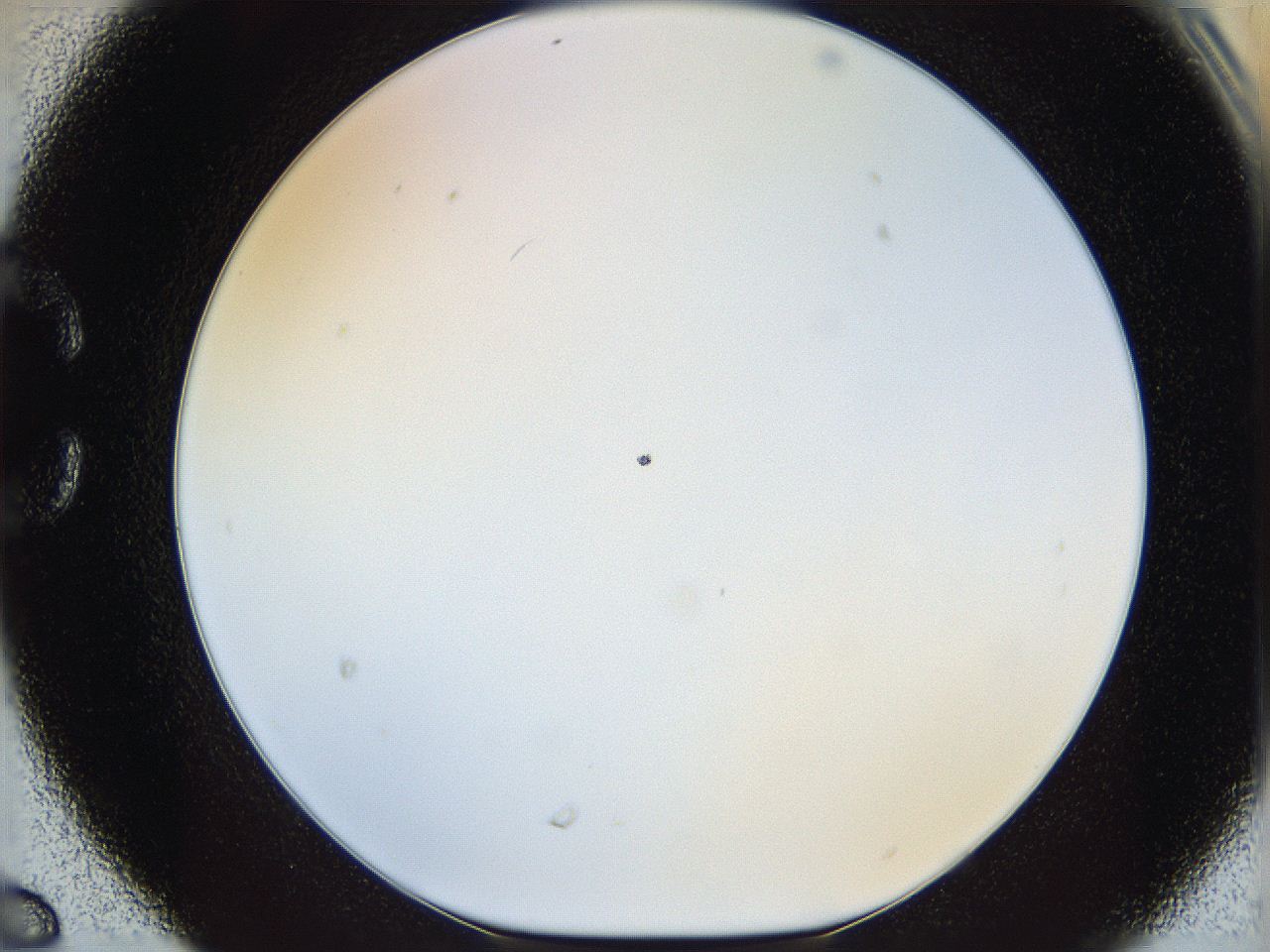 05wu_C6_ImagerDefaults_0.jpg