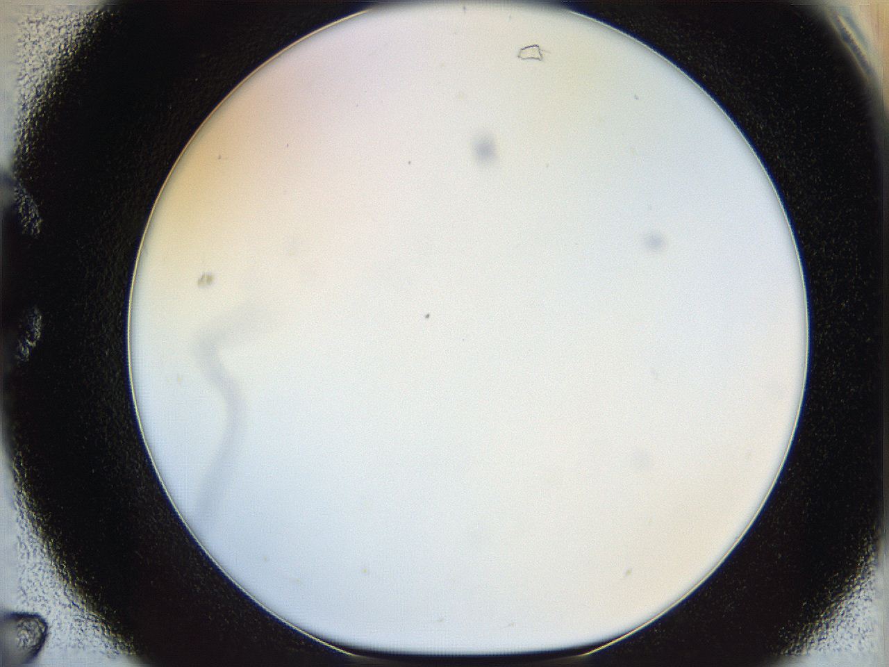 05wu_C7_ImagerDefaults_0.jpg