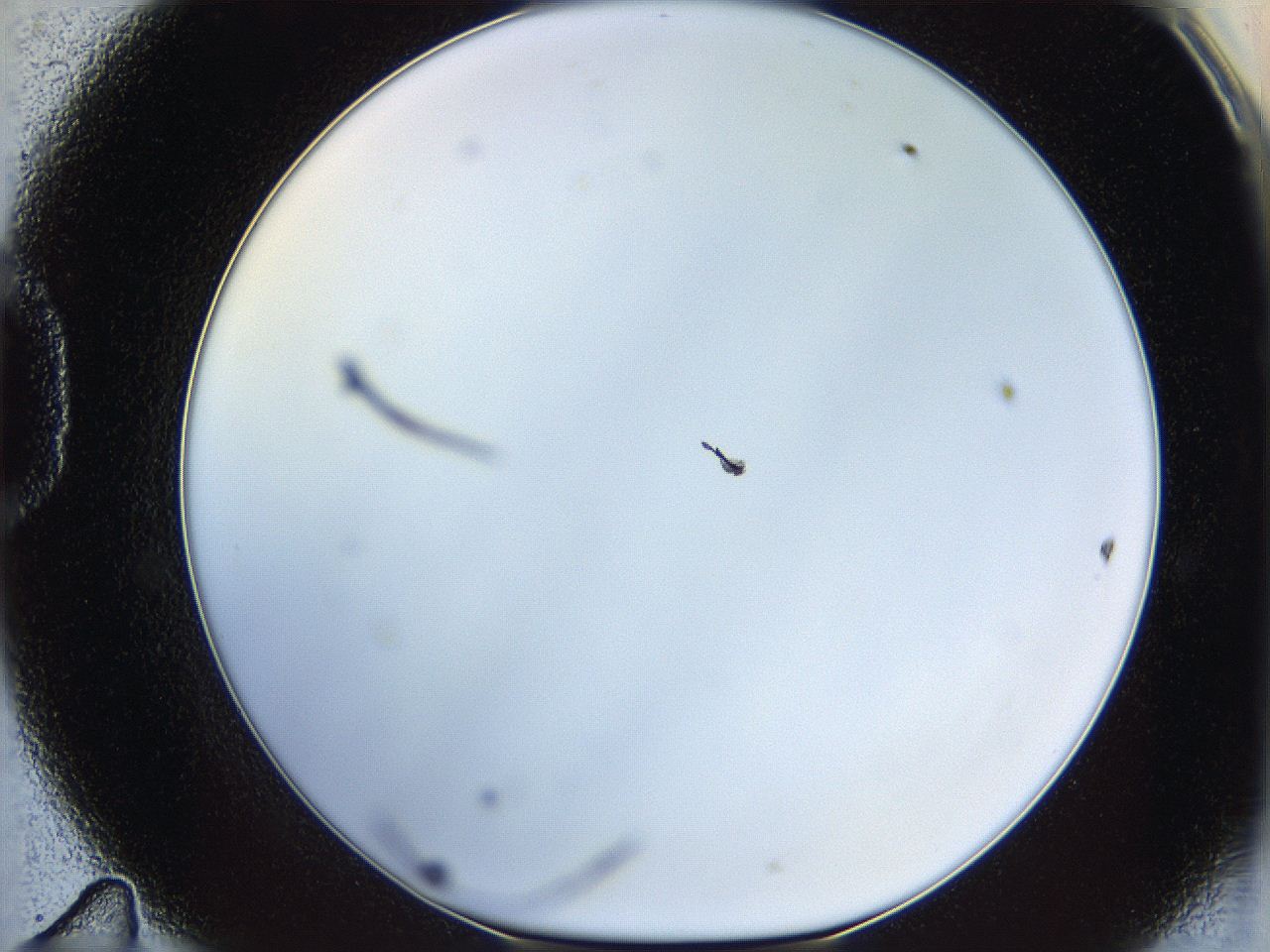 05wu_D11_ImagerDefaults_1.jpg