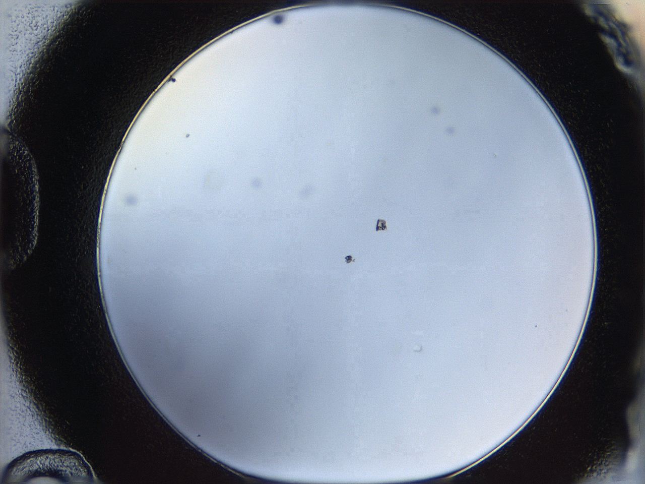 05wu_D12_ImagerDefaults_2.jpg