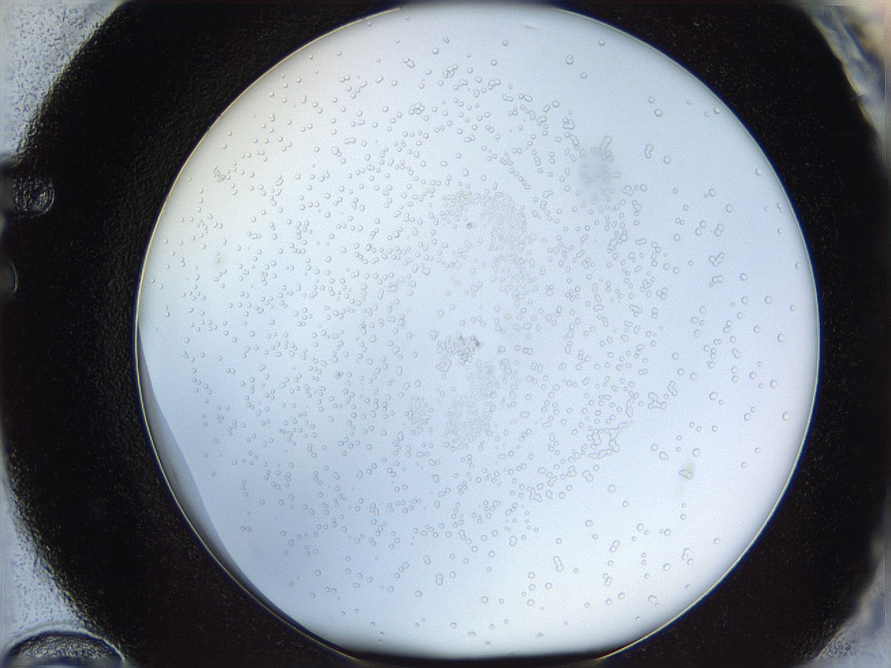 05wu_F12_ImagerDefaults_0.jpg