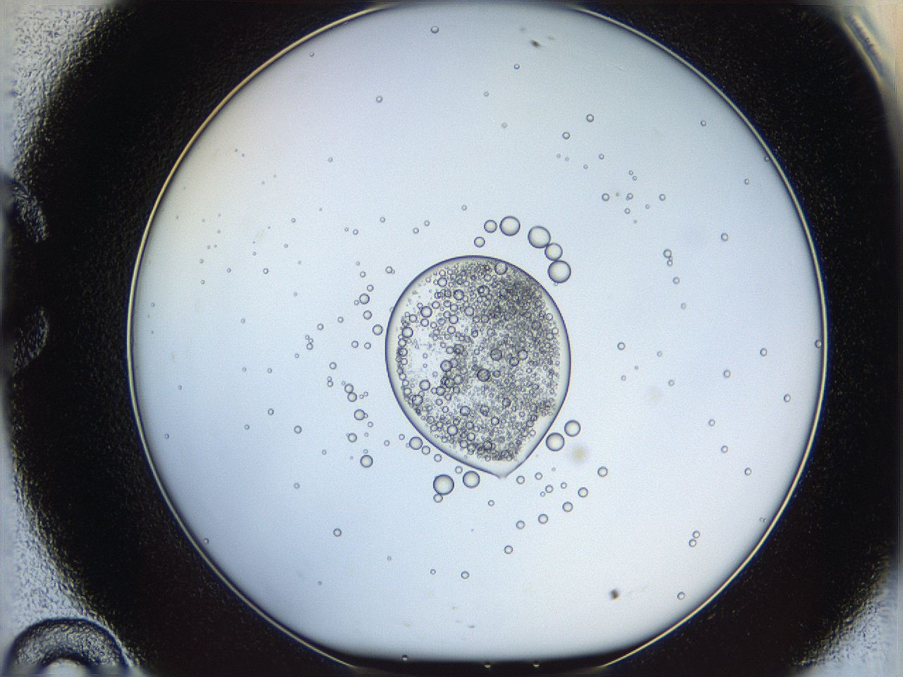 05ww_C10_ImagerDefaults_5.jpg