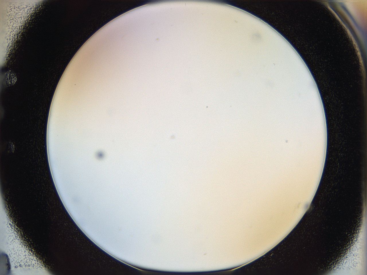 05ww_E4_ImagerDefaults_0.jpg