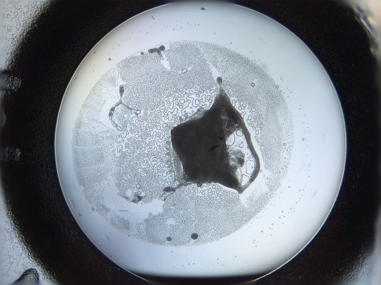 05ww_E11_ImagerDefaults_5.jpg