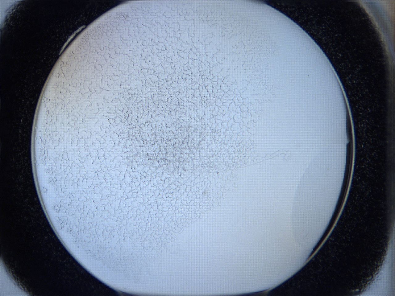 05wx_C4_ImagerDefaults_5.jpg